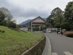 -中国大熊猫保护研究中心雅安碧峰峡基地