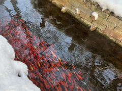 -水磨沟公园