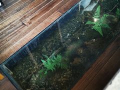 -几荷·恰似故人来(秀水广场店)