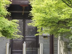 -八大山人梅湖景区