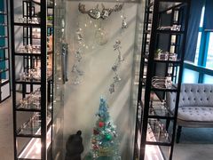 -Trend1881视光·蔡司视觉(领展广场店)