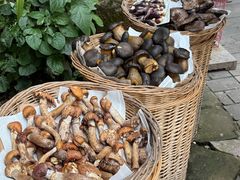 -华冠悠岚·庭院餐厅(青城后山店)