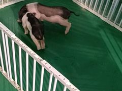-武汉5D星空错觉艺术馆(中心百货店)