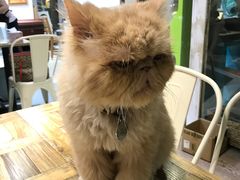 -小时光咖啡馆(开森度假森林店)