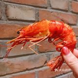 那么来这里准没错~简直就是啤酒和肉食爱好者的福音呐！