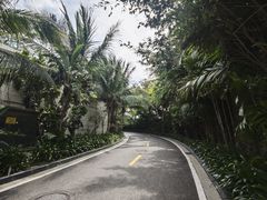 -三亚亚特兰蒂斯度假区