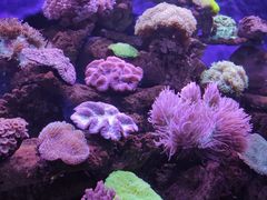 -长春中泰海洋世界