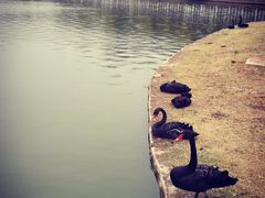 -南京医科大学(江宁校区)