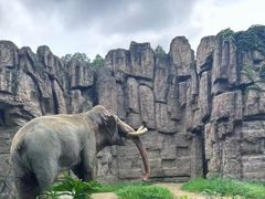 -大连森林动物园