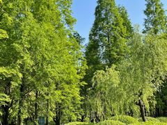 -汤山公园