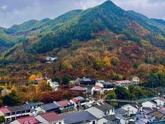 -四明山国家森林公园