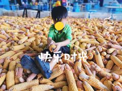 -宾果蒙特梭利托育儿童之家幼儿园(爱琴海店)