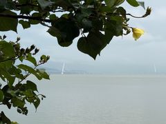 -深圳湾公园(南山区)