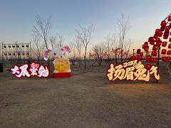 -金沙湖旅游度假区