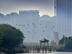 -艾溪湖湿地公园