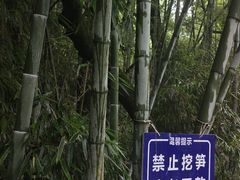 -福道