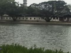 -江心屿景区