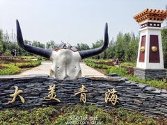 -武清南湖绿博园