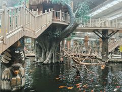 -南宫五洲植物乐园