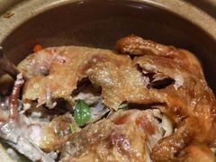 -金牌外婆家(苏州中心店)