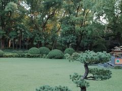 -申粤轩酒楼·三十年粤菜经典(丁香花园店)