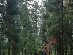 -井冈山风景名胜区-黄洋界