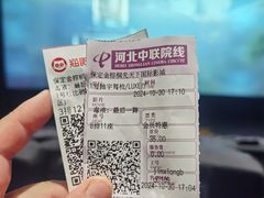 -保定金棕榈先天下国际影城(LUXE)