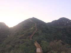-大岭沟猕猴桃谷风景区