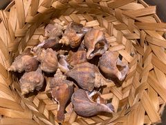 -千岛蚝高压锅生蚝·人参火锅(白云万达店)