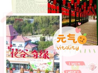元气满满的一天，从这开始