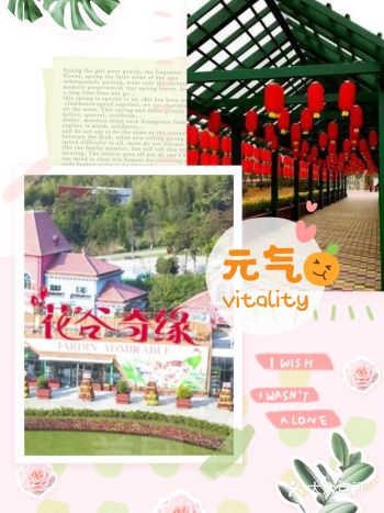 元气满满的一天，从这开始