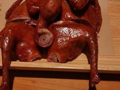 -鸽子窝(宋庄店)