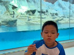 -帝企鹅自助餐厅•儿童岛•真企鹅(长隆企鹅酒店)