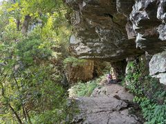 -天目山大树王景区