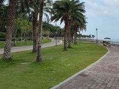 -野狸岛
