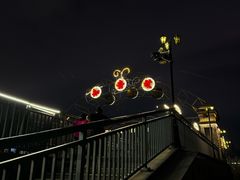 -武汉知音号
