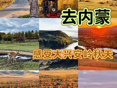 -莫尔道嘎国家森林公园