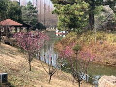 -宝岩生态观光园