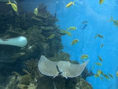 -福州罗源湾海洋世界旅游区