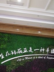 -玛丽亚妇产医院