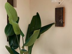 -风吟仟茶(河街店)