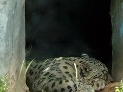 -青藏高原野生动物园