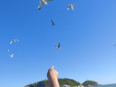 -长岛南北长山旅游景区