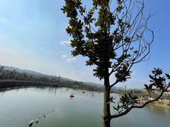 -枫香湖儿童公园