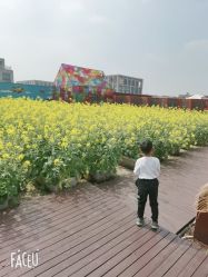 点击看大图 -小蜜蜂农场(凯德七宝购物广场店)
