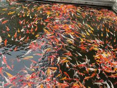 -番禺宾馆丽苑厅