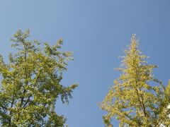 -万达广场(泰安泰山店)