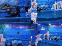 -左海海底世界
