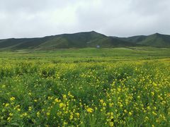 -扁都口生态休闲旅游区