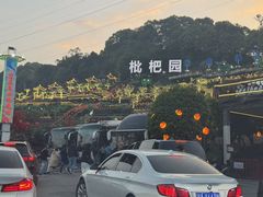 -枇杷园食为鲜火锅(南山店)